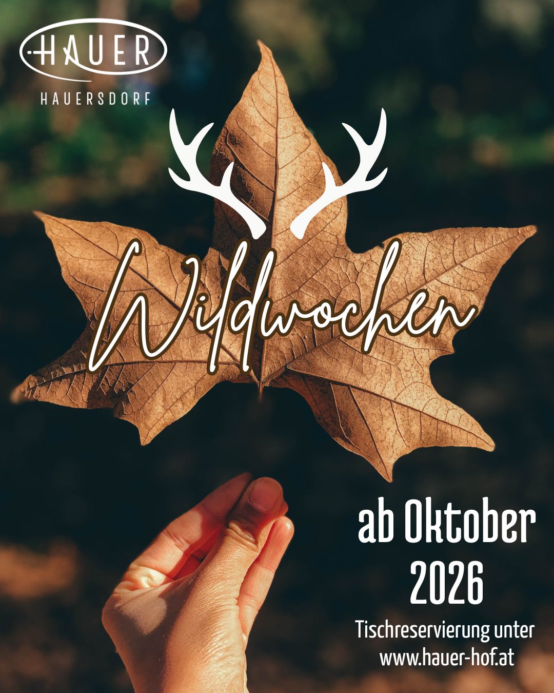 Wildwochen
